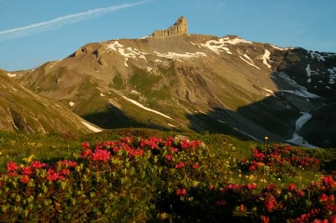 paysage-montagne-ete